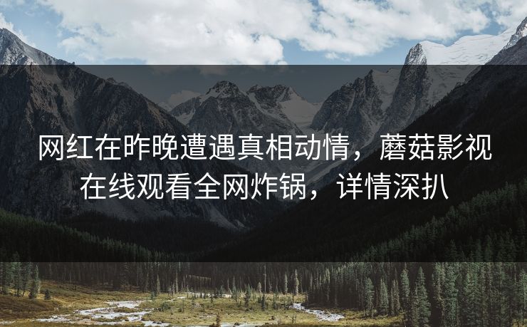 网红在昨晚遭遇真相动情，蘑菇影视在线观看全网炸锅，详情深扒
