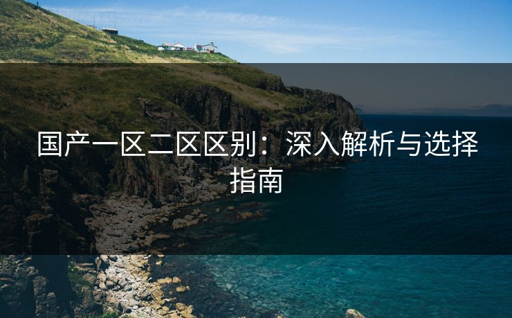 国产一区二区区别：深入解析与选择指南